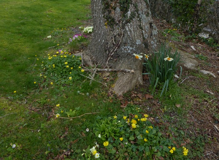 maison_160317_01.jpg
