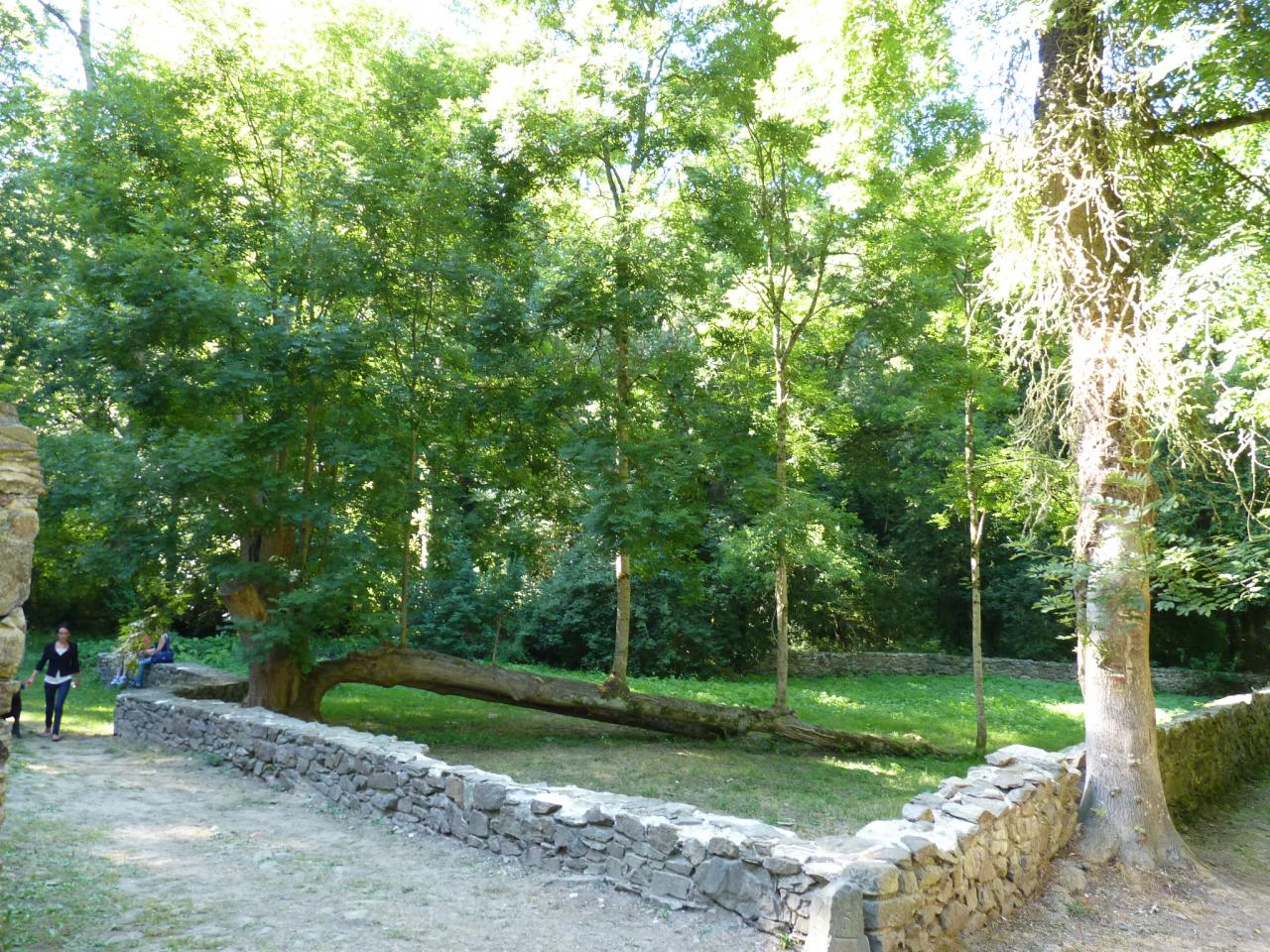 P1210863.JPG