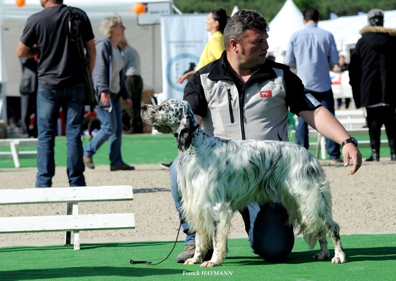 chien expo game fair.jpg