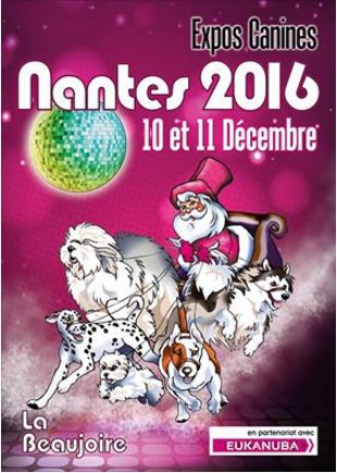 NANTES 2016.JPG