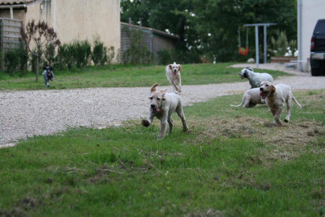 IMG_0116.jpg