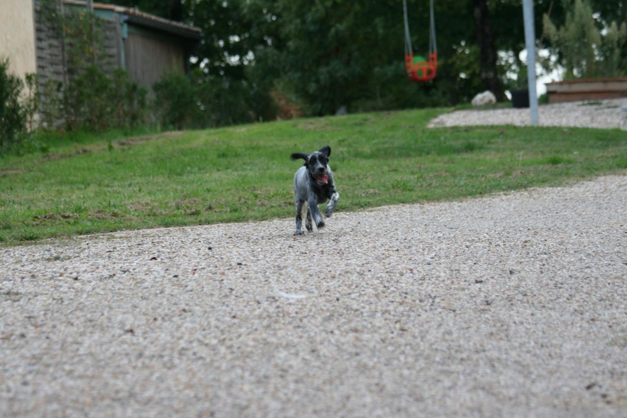 IMG_0130.jpg