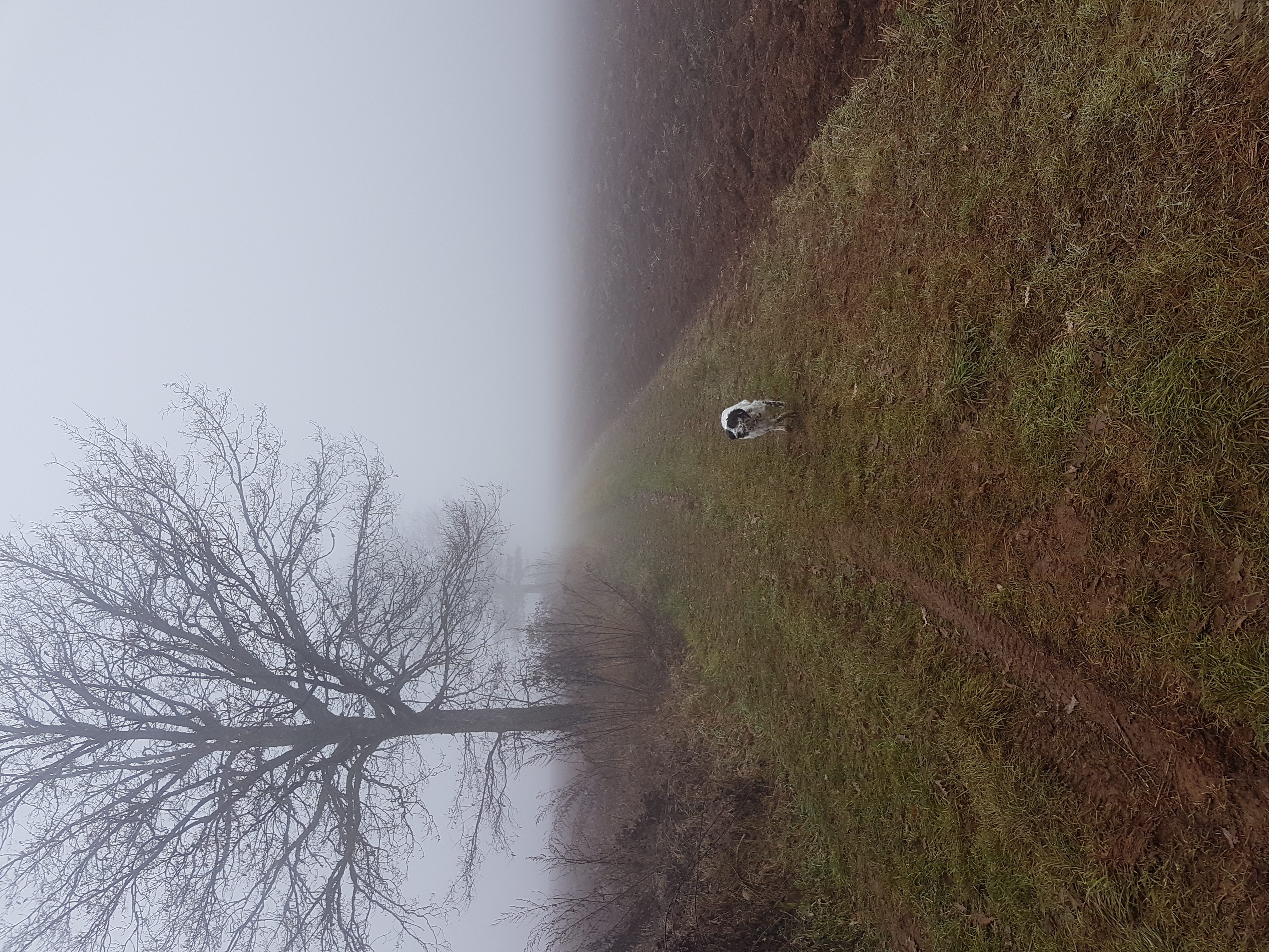 20161222_102233.jpg
