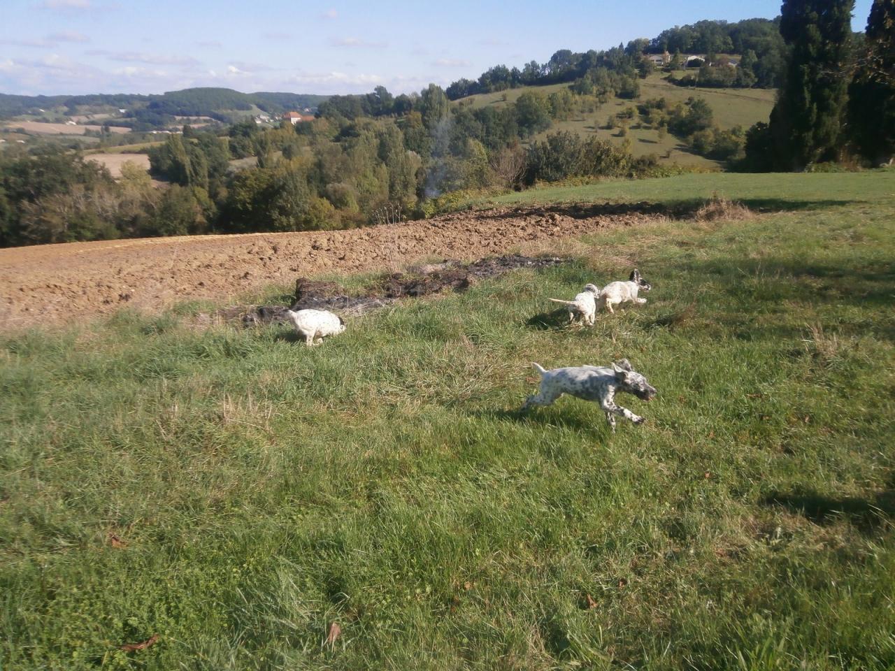 PA070003 (Copier).JPG