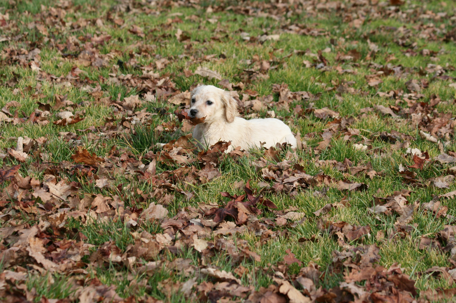 IMG_0030.JPG