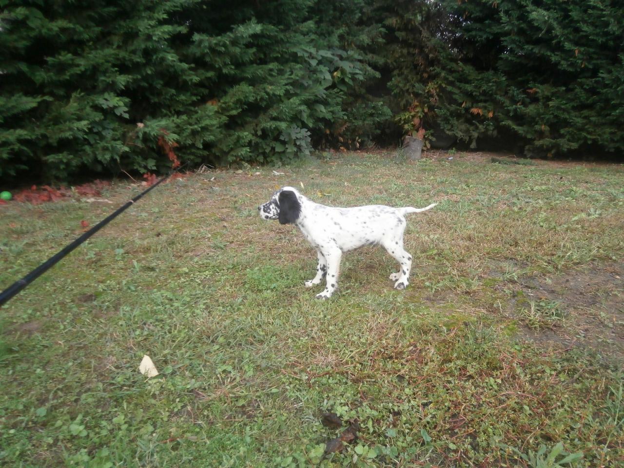 PA160004 (Copier).JPG