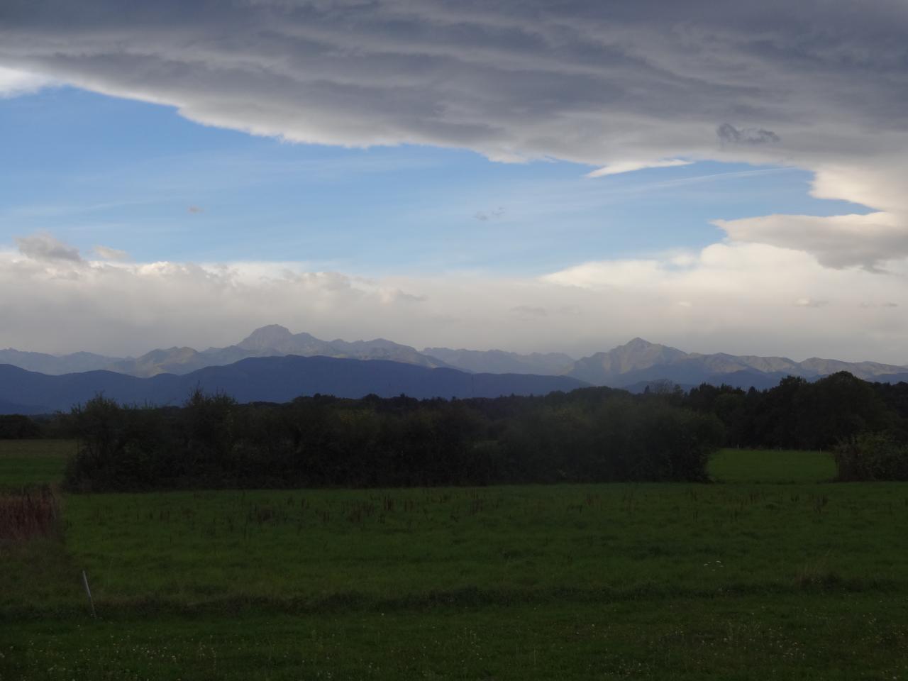 DSC01531.JPG