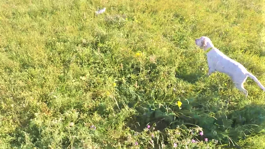 Capture d'écran 2017-07-15 14.55.20.png