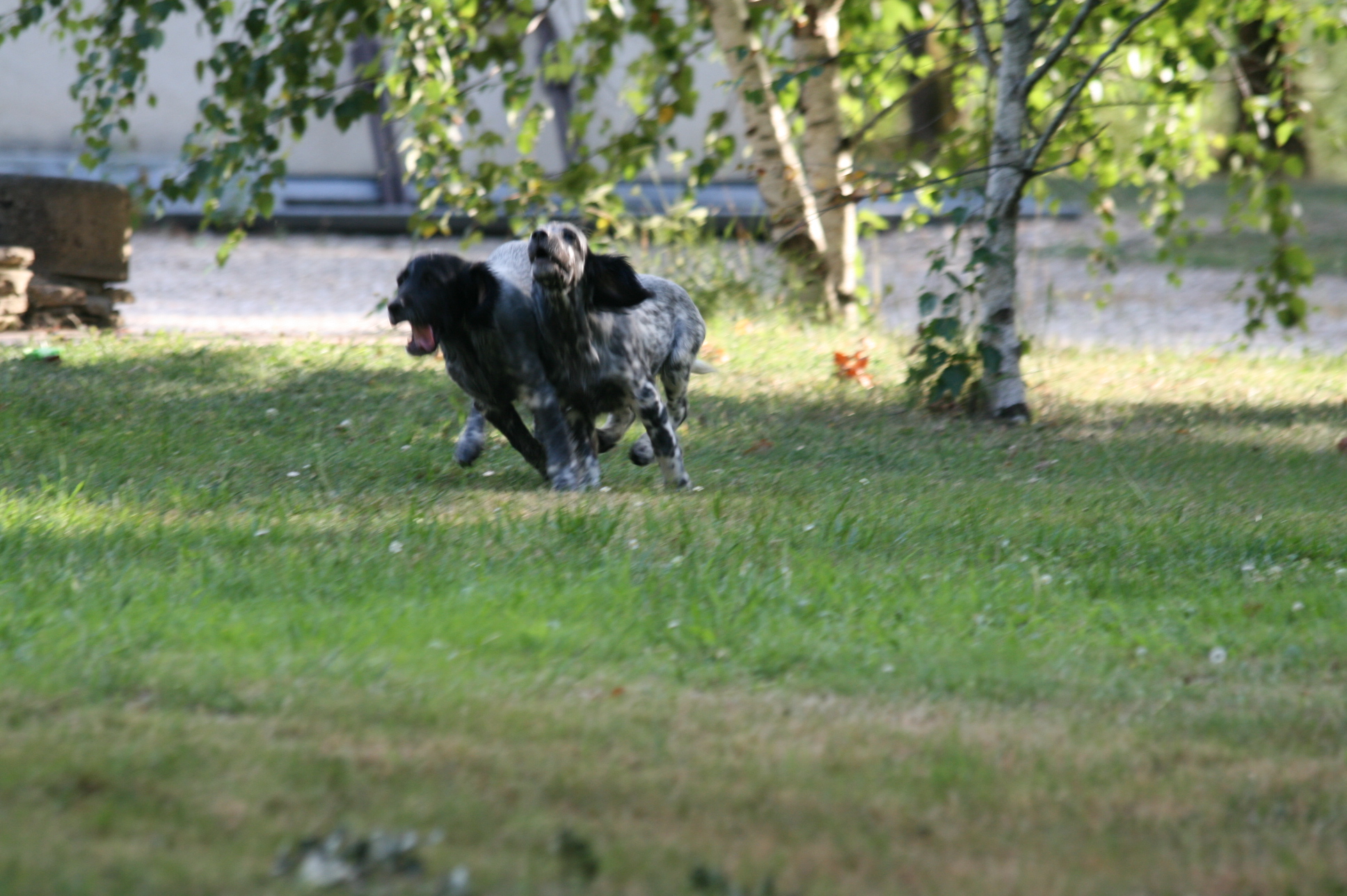 IMG_0733.JPG
