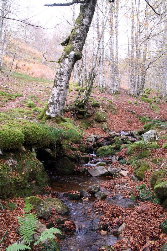 iraty_131027_11.jpg