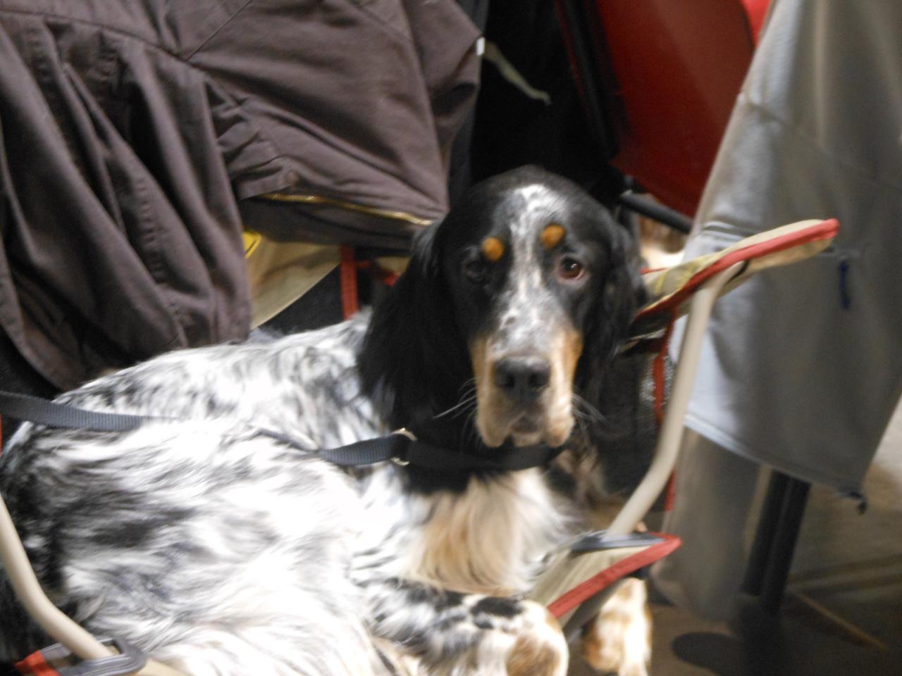 DSCN0642.JPG