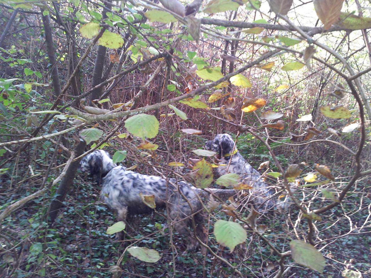 2013-12-08 10.39.27.jpg