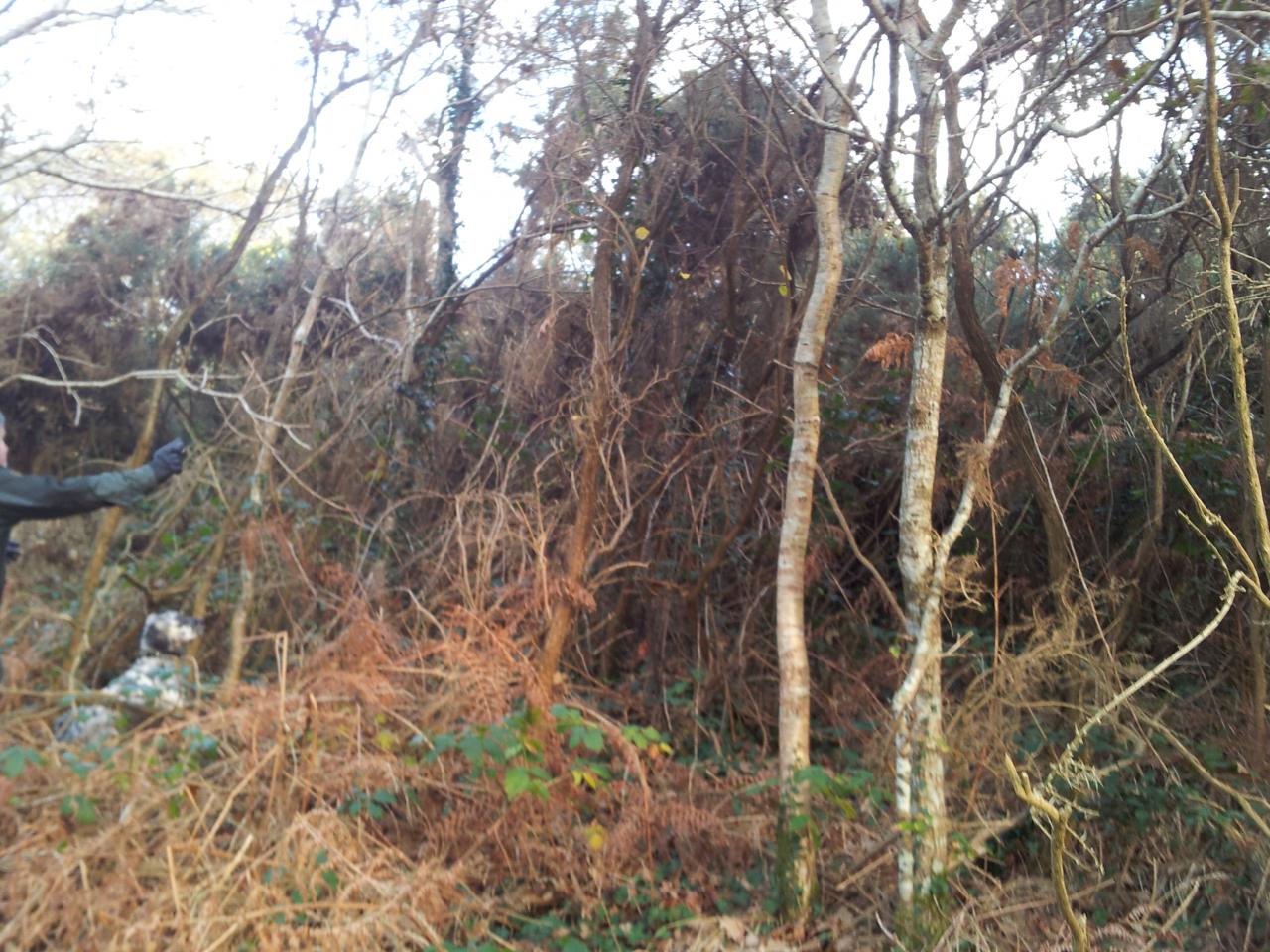2013-12-08 10.36.25.jpg