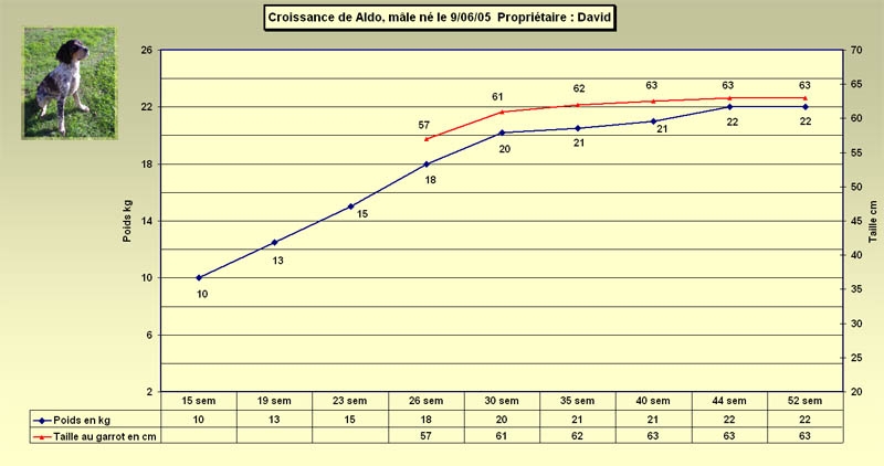 aldocourbe.jpg