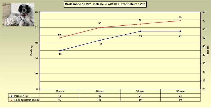 vitocourbe.jpg