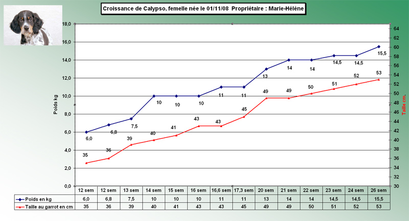 calypso26sem.jpg