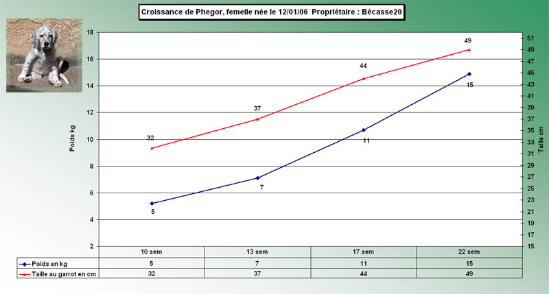 phegorcourbe.jpg