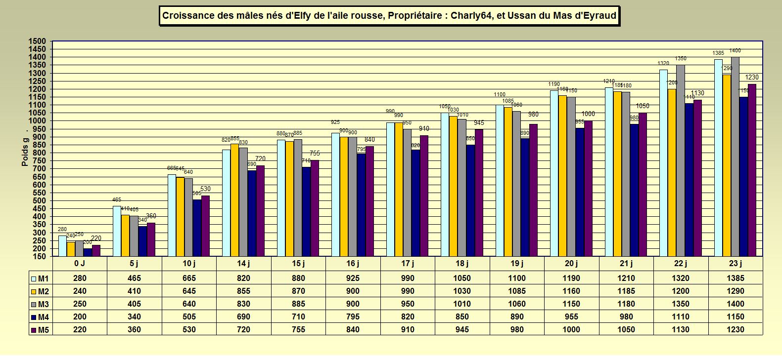 charly64boys3.JPG