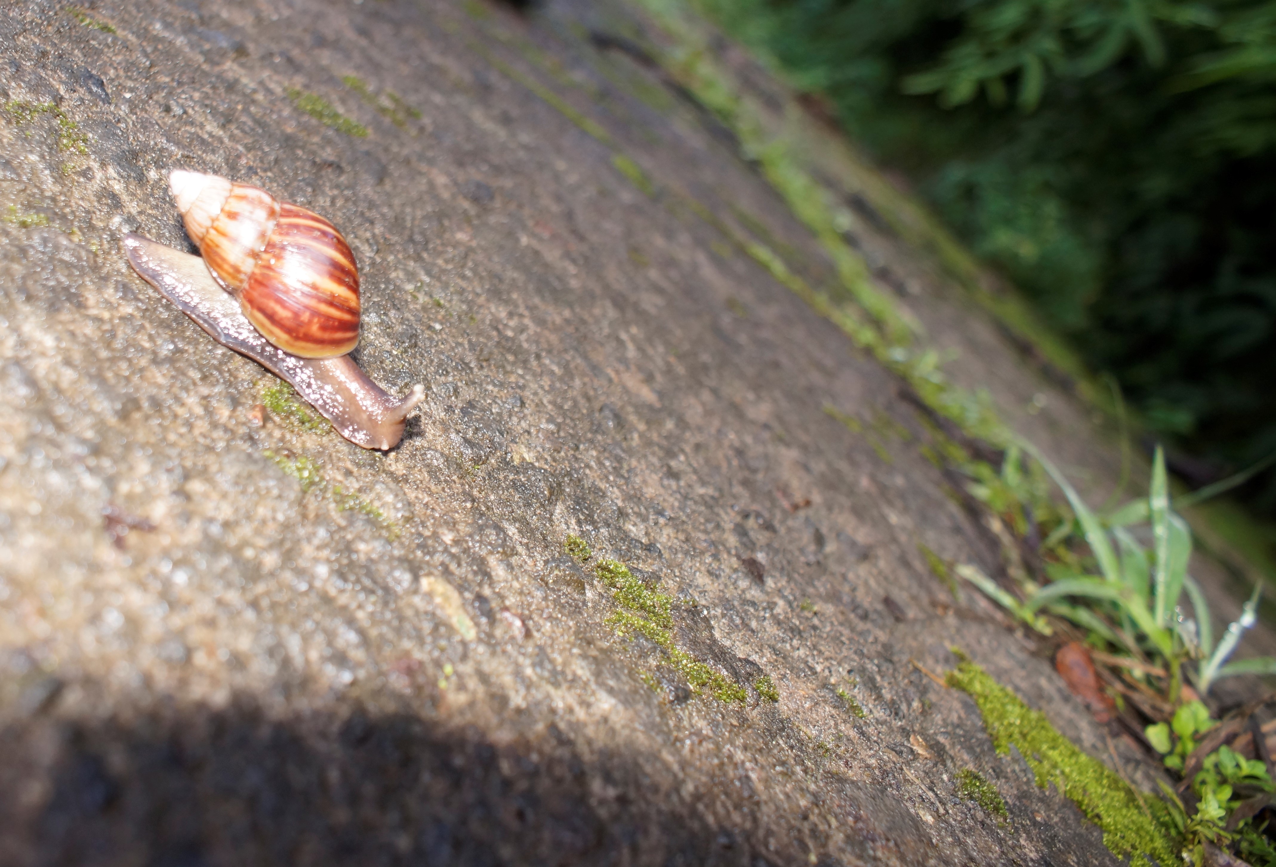 _DSC8316.JPG