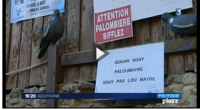 mayre.JPG