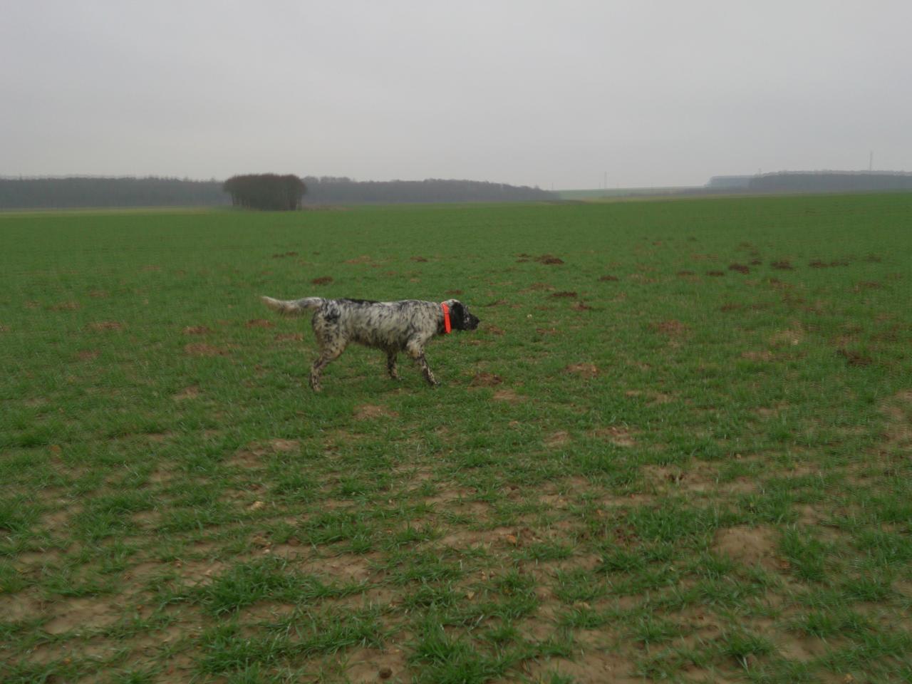 DSC_0200.jpg