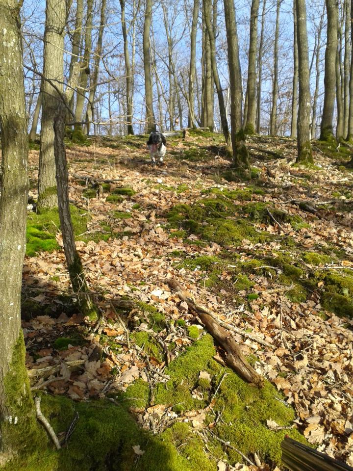 20140119_152406.jpg