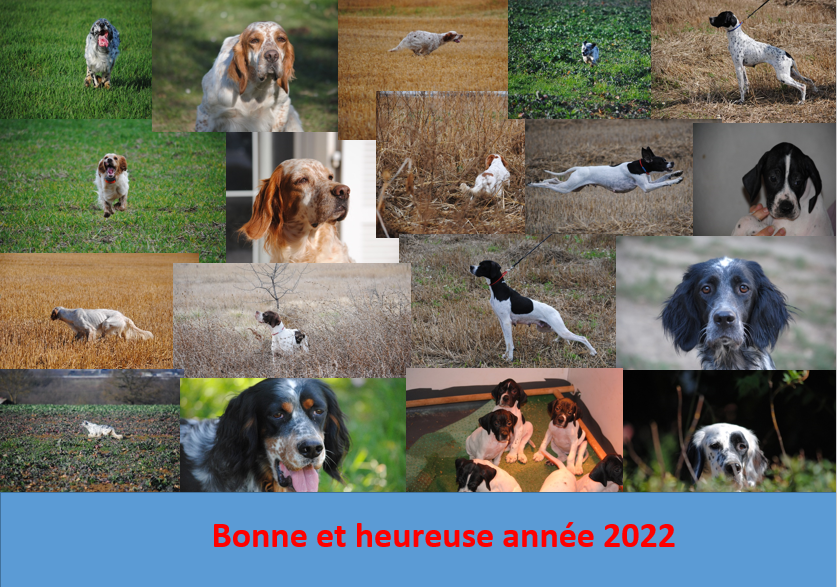 Bonne année 2022.png