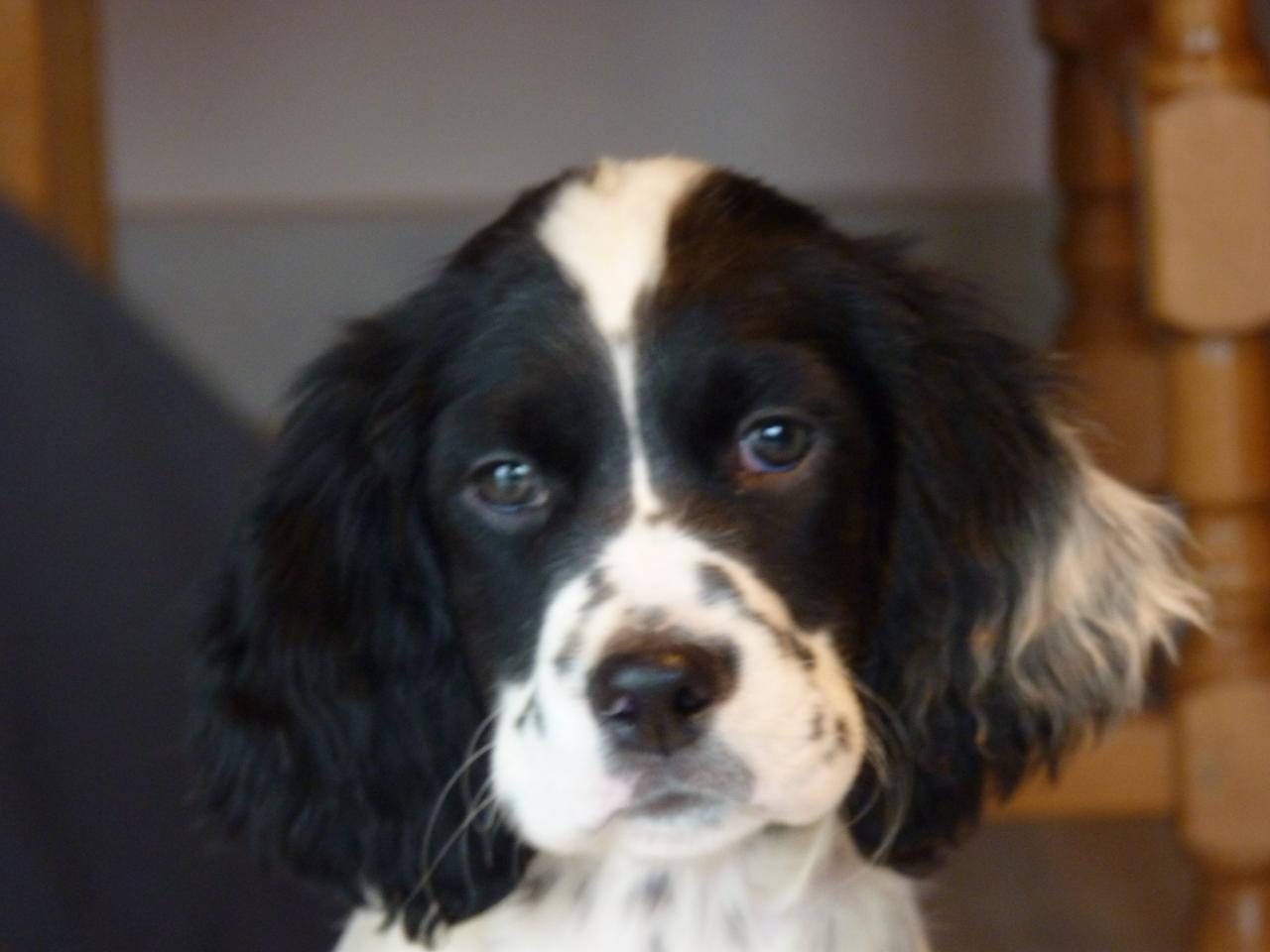 ICKO 01-2014 001.JPG