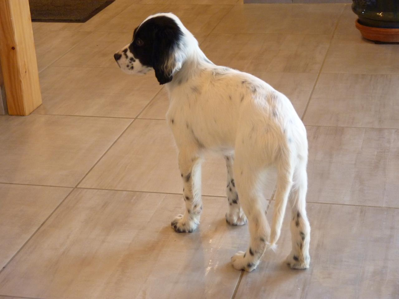 ICKO 01-2014 002.JPG