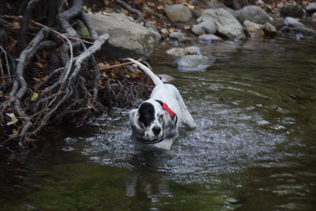 DSC_0413.JPG