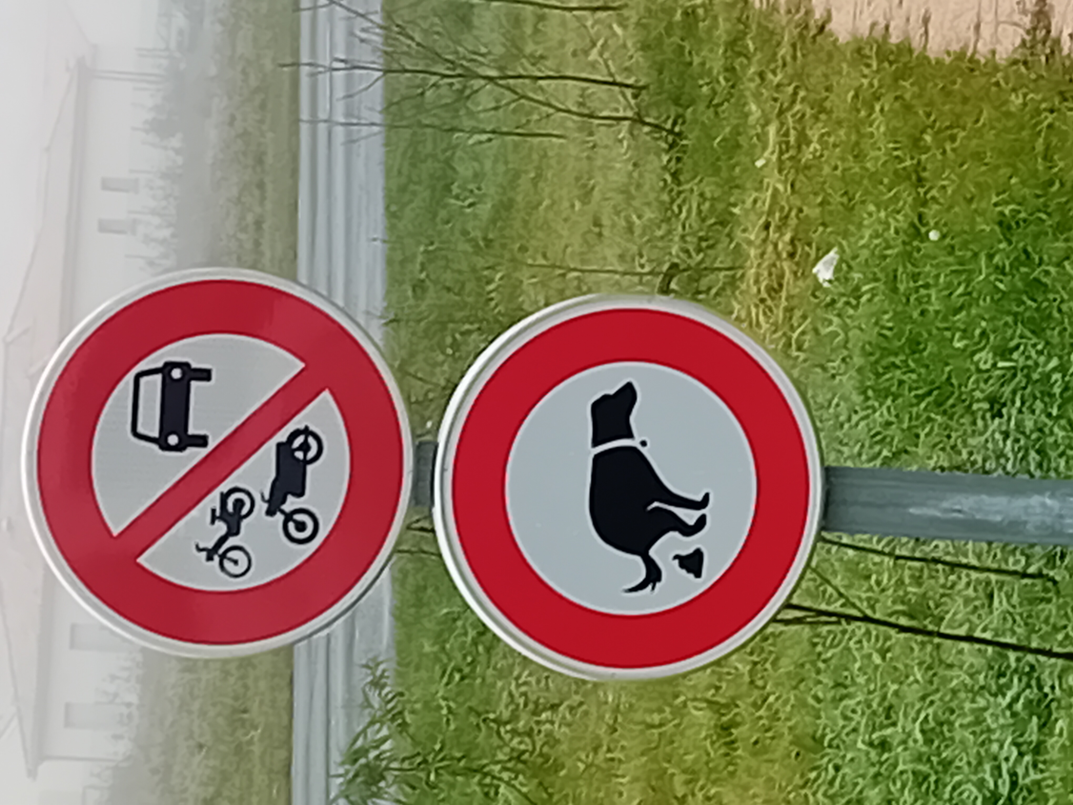 20241229_100505.jpg