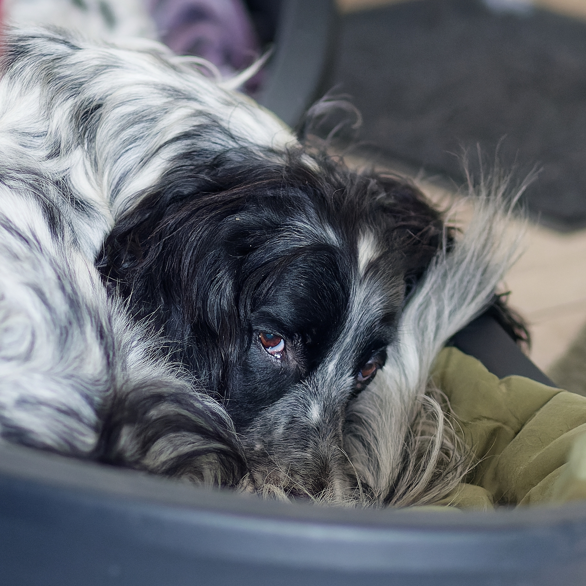 4K3A0257_DxO.jpg