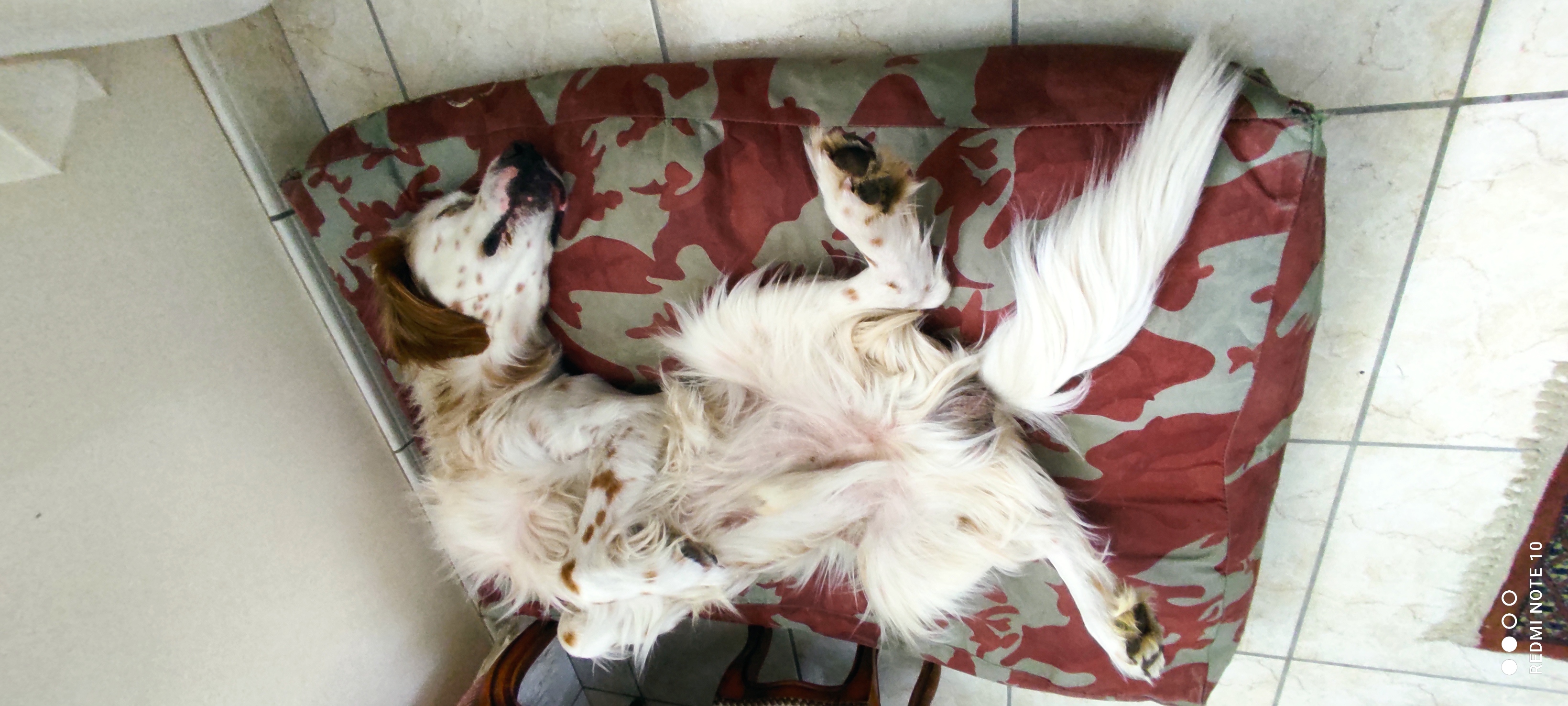 matelas camouflé1.jpg