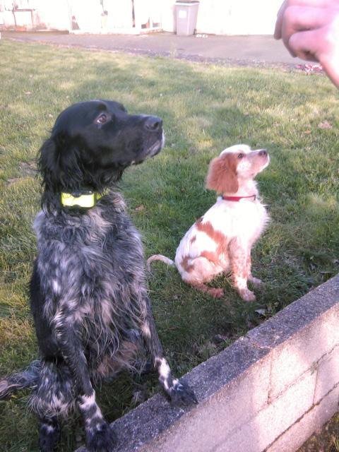Photo0213.jpg