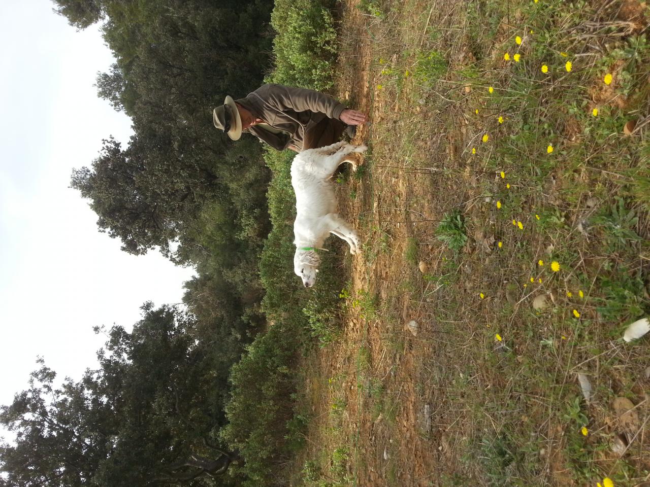 20140329_093702.jpg