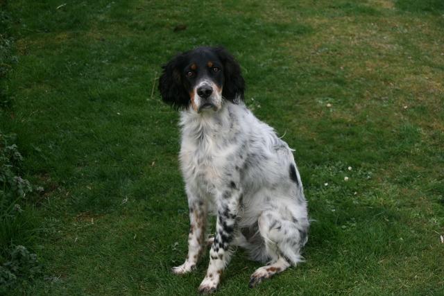 IMG_2375 (640x427).jpg