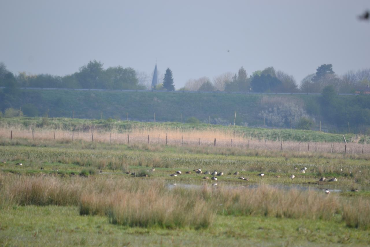 DSC_1851.JPG