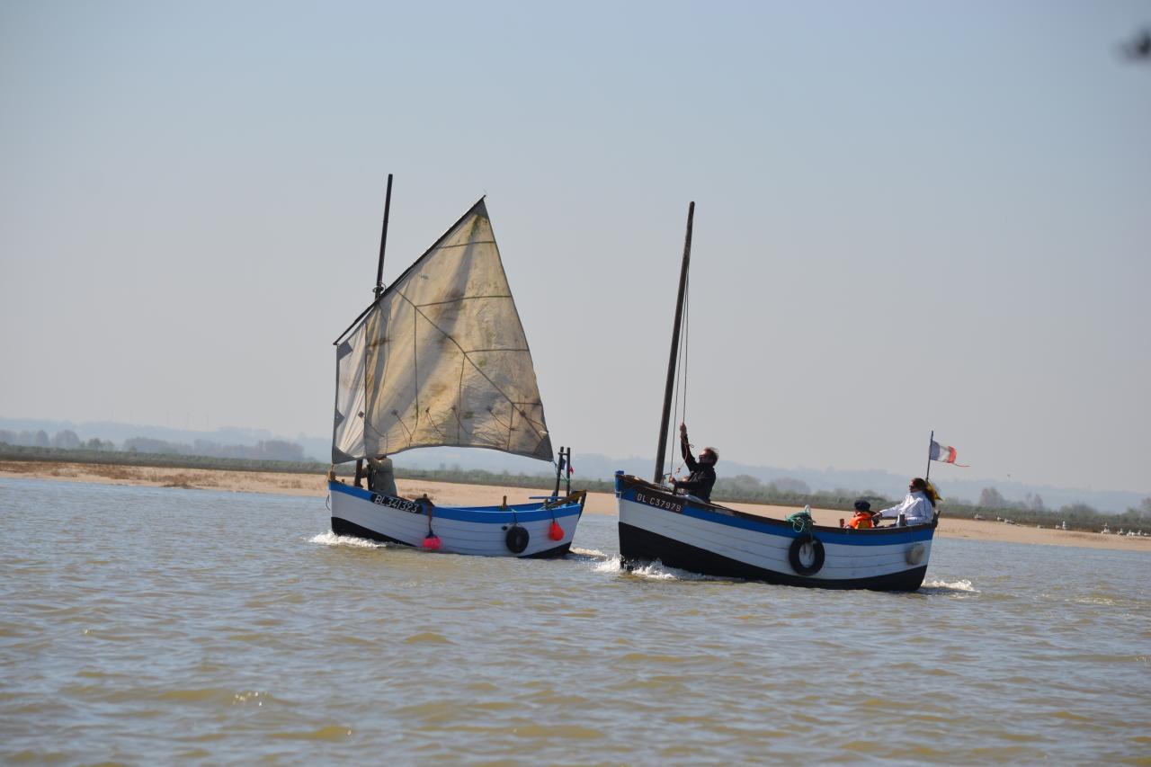 DSC_1933.JPG