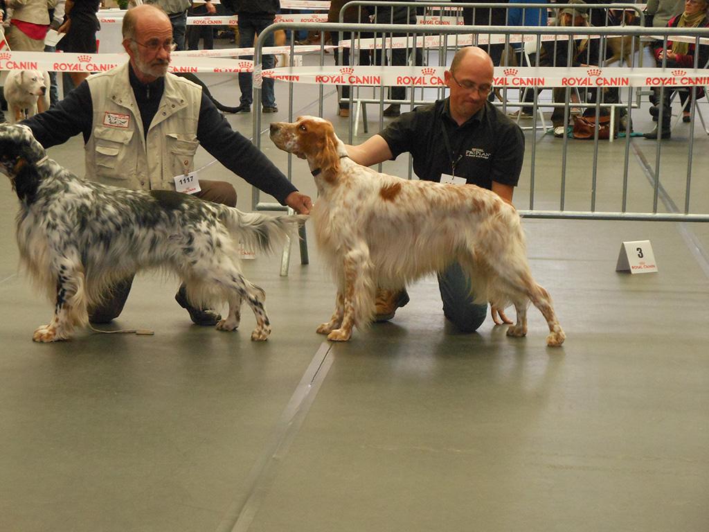 EXPO chateauroux 2014 (2).JPG