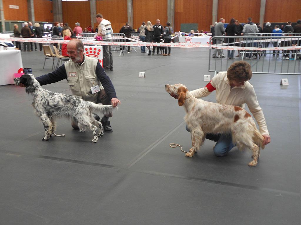 EXPO chateauroux 2014 (4).JPG