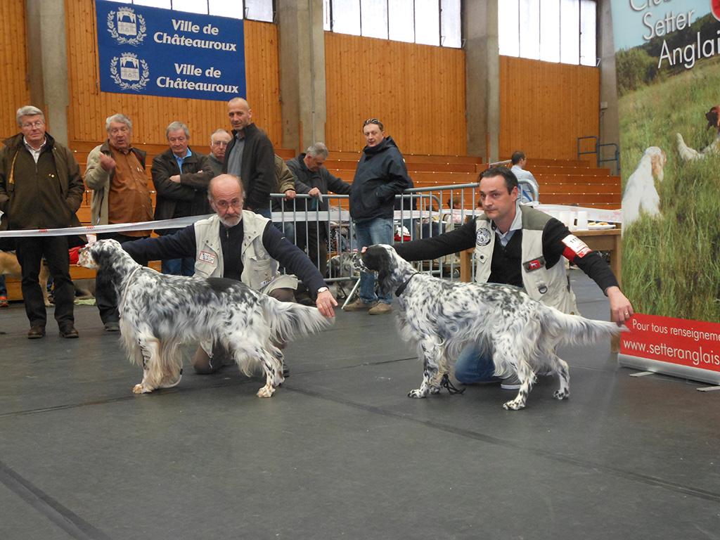 EXPO chateauroux 2014 (13).JPG