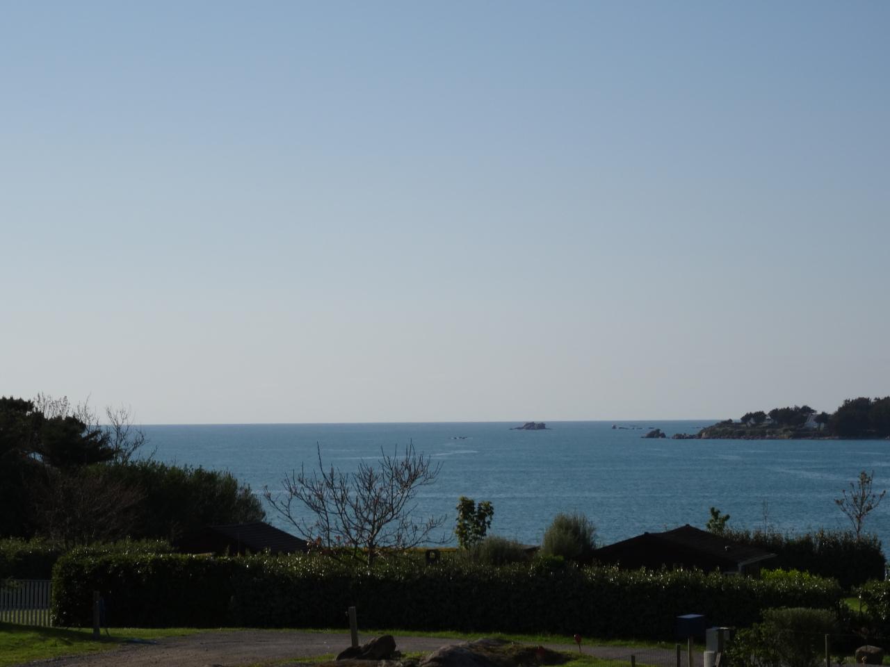 DSC00109.JPG