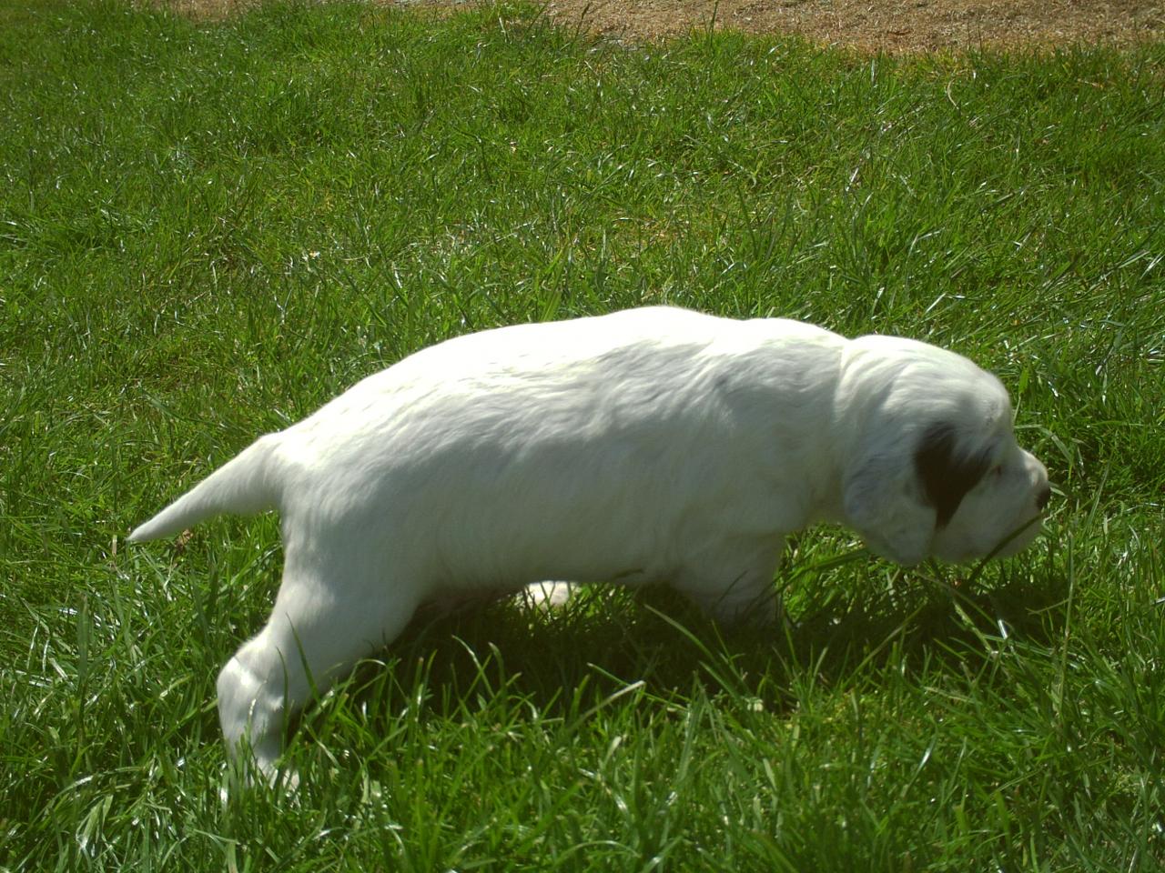 PICT0976.JPG
