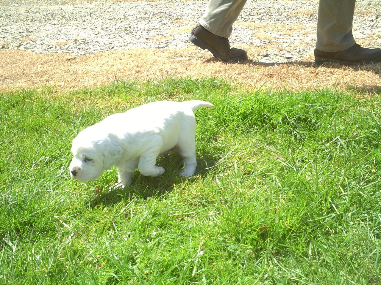 PICT0977.JPG
