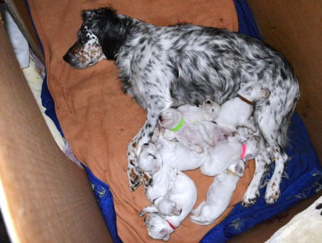 famille 1.JPG
