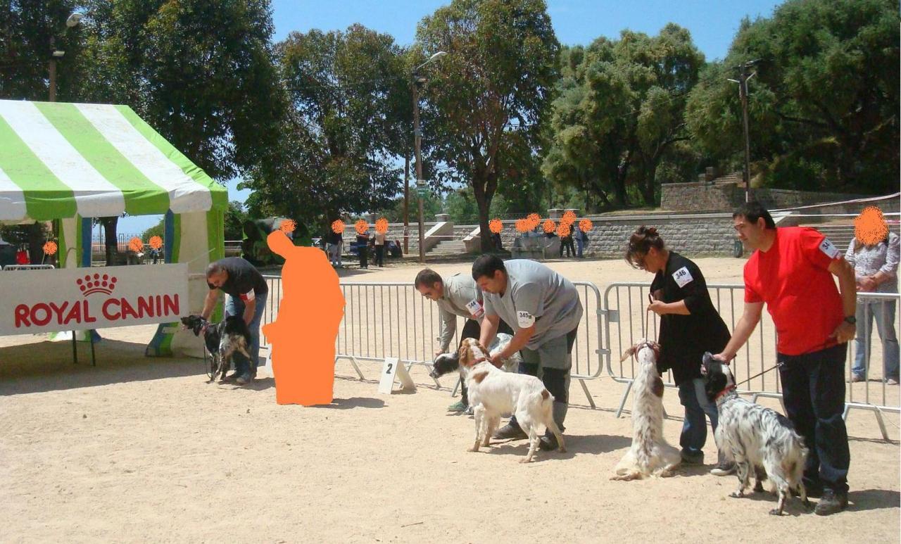 5.JPG