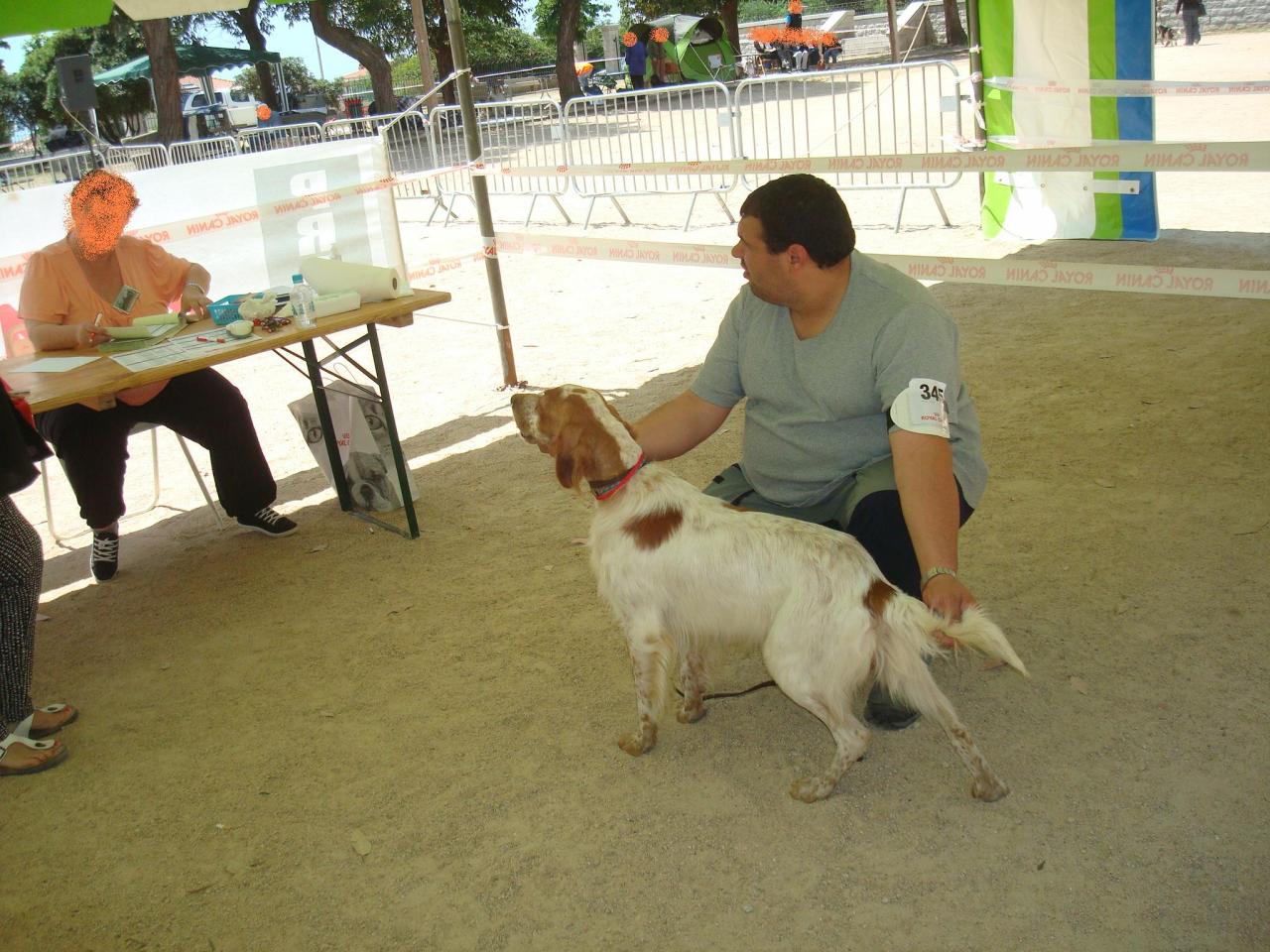 11.JPG