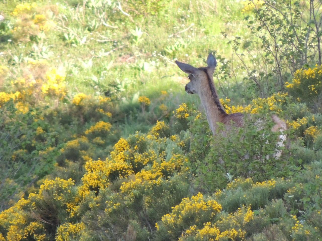 DSCN3804.JPG
