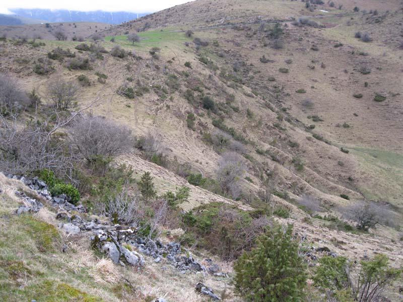 ahuzki_130327_01.jpg