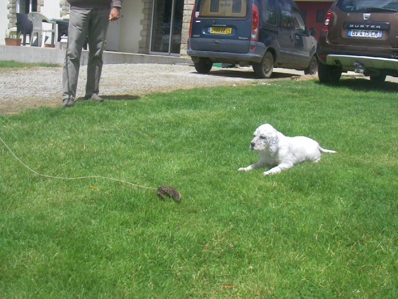 IMGP0114.JPG